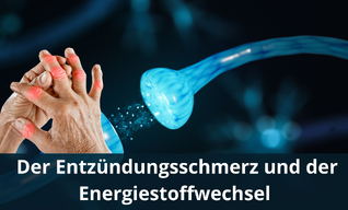 Der Entzündungsschmerz und der Energiestoffwechsel