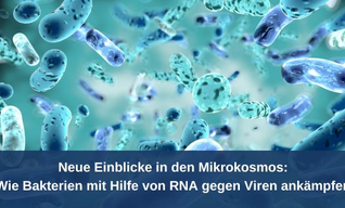 Neue Einblicke in den Mikrokosmos: Wie Bakterien mit Hilfe von RNA gegen Viren ankämpfen